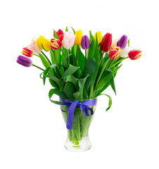 red and yellow tulips