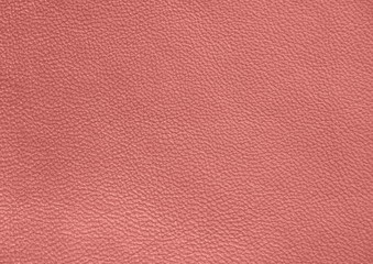 Fototapeta premium The texture of genuine leather. Pink background.