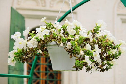 a bouquet of white flowers in front of the church
