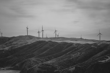 Landscape With Wind Turbine farm in Wellington