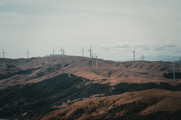 Landscape With Wind Turbine farm in Wellington