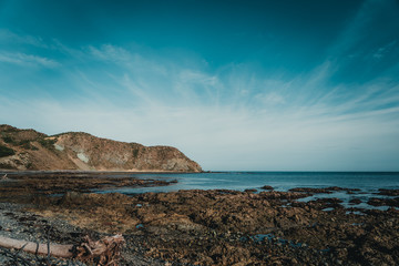 Landscape of Beach in Wellington, New Zealand;