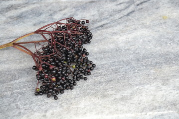 Ripe elderberry on marble background, free space for text