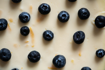 Closeup background of cake decorated by blueberries