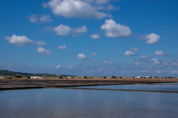 Secovlje Saltworks largest Slovenian salt evaporation pond on Adratic sea, natural and industrial landscape in Slovenia Piran