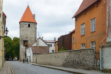 15th century 24-meter high Plate tower on Laboratooriumi street was a part of the medieval...
