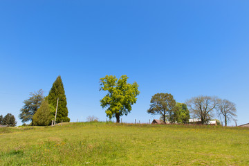 Landscape French Limousin