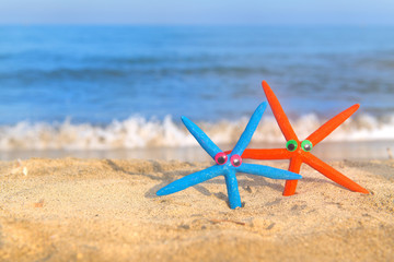 Fototapeta na wymiar Funny starfishes at the beach