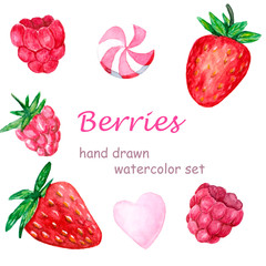 Watercolor strawberries and raspberries. Botanical watercolor hand-drawn illustration. Valentine's day. Watercolor fruits.