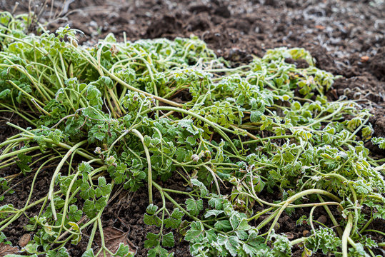 MOODE 9 0 6 IS AVAILABLE visual data 2