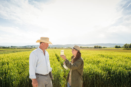Farmer and biologist in field, inspecting crops and soil sample, carrying laptop. Bridger, Montana, USA