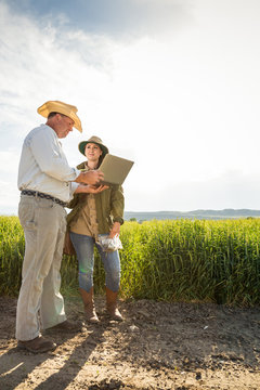 Farmer and biologist in field, inspecting data on laptop. Bridger, Montana, USA