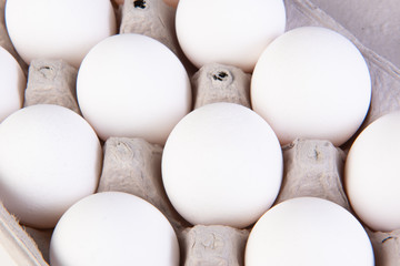 carton of eggs