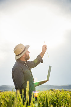 Farmer in field of grass, inspecting crops with laptop. Bridger, Montana, USA