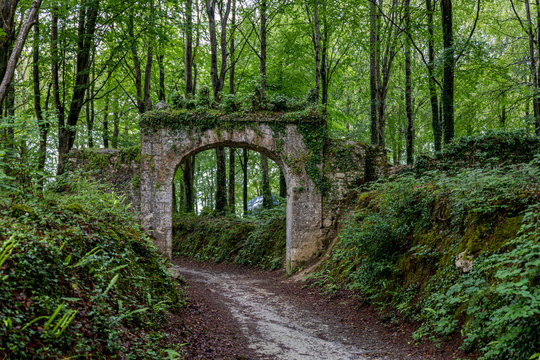 Lost arch in mystic green irish forest