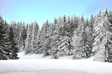 mountain landscape in winter on snow