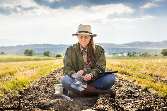 Biologist sitting in field, inspecting crops and soil samples with tablet. Bridger, Montana, USA