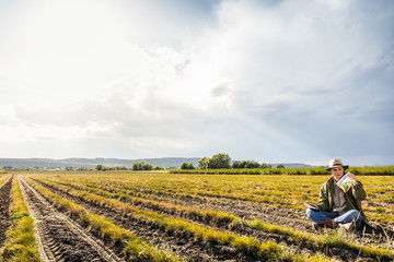 Biologist sitting in field, inspecting crops and soil samples. Bridger, Montana, USA