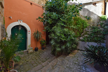 A narrow street between the old houses of a medieval village