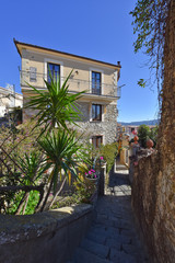 A narrow street between the old houses of a medieval village