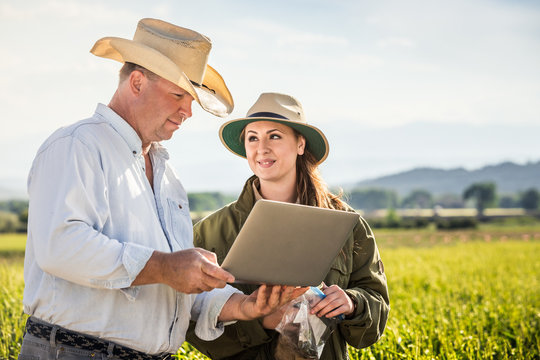 Biologist and farmer in field, inspecting data from crops on laptop. Bridger, Montana, USA