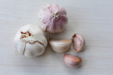 Allium sativum: Fresh, whole and sliced garlic