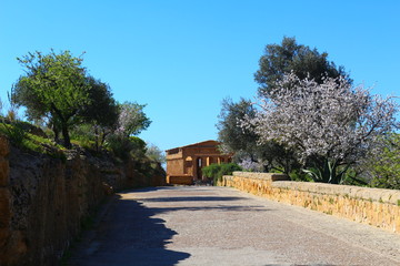 Temple and road