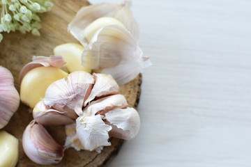 Allium sativum: Fresh, whole and sliced garlic