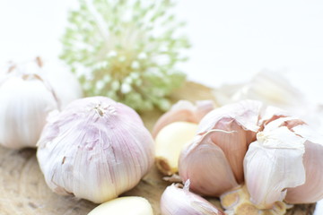Allium sativum: Fresh, whole and sliced garlic