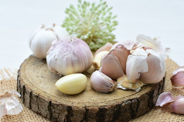 Allium sativum: Fresh, whole and sliced garlic