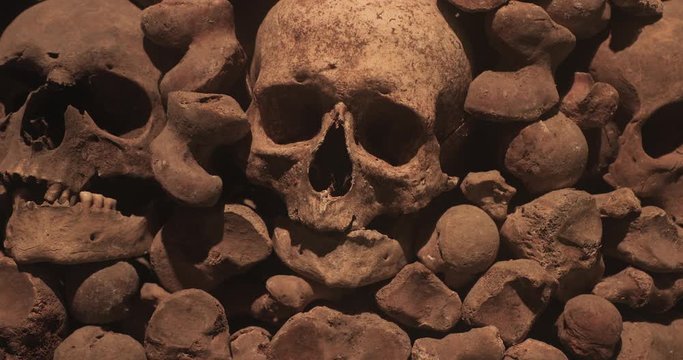 Wall made of human bones