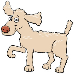 cartoon poodle dog pet animal character