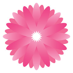 Isolated pink flower