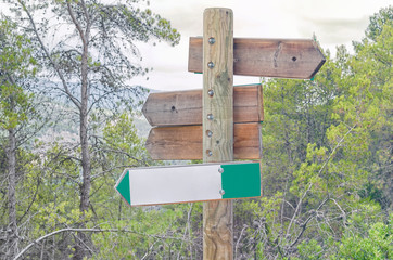 Forest sign to indicate hiking paths. Autumnal color.