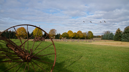 old farm machine on the field