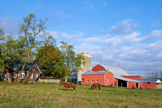 Horse farm with red farm house
