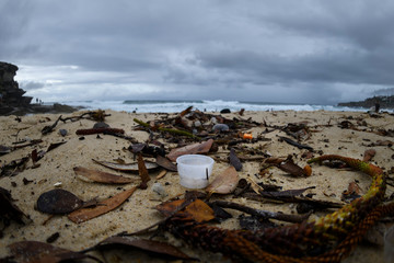 Rubbish by the Sea, Sydney Australia