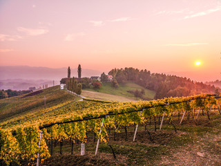 Südsteiermark, Weinstraße