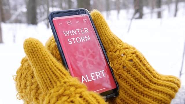 Receiving bad weather snowstorm warning messages on the mobile phone while hiking in a forest during winter.