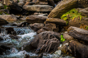 Fototapeta na wymiar water flows over stones. Beautiful mountain waterfall in the forest. 