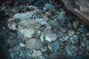 Beach pebbles under clear water