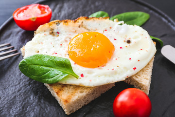 Tasty fried egg with toasted bread and tomatoes on plate, closeup