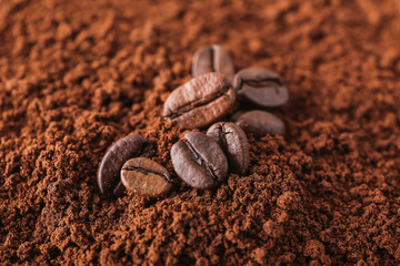 Fototapeta premium Coffee beans on powder, closeup