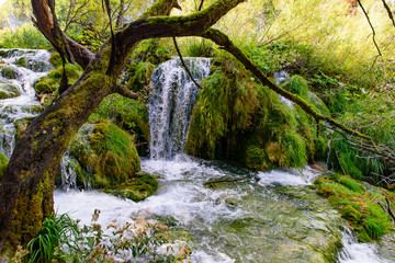 Cascades / waterfalls in Plitvice Lakes National Park (Plitvička Jezera), a national park in Croatia