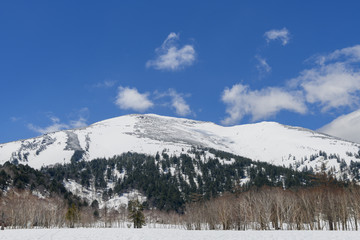 Fototapeta na wymiar 尾瀬ヶ原から見た春の至仏山