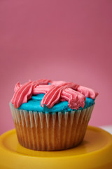 colorful cupcakes