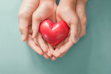 Adult and child hands holding Red heart , heart health, donation, happy volunteer charity, CSR social responsibility,world heart day, world health day,world mental health day,foster home