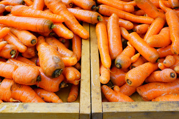 Fresh orange carrots for sale at a farmers market