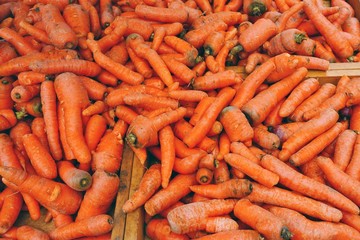 Ugly misshapen carrots at the farmers market
