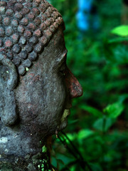 タイ、チェンマイ のワット・ウーモン。トンネルの中で僧侶の厳しい修行寺として有名です。　　　　境　　　　　　　　　　　　　　　　　　　　　　　　　　内　　には他の廃寺の石仏群が野ざらしの状態にあります。裏山にはヒマラヤ桜、野生の鹿そしてうさぐが観光客を楽しませています。　　　　　　　　　　　　　　　　　　　　　　　に　　　　　　　　　　　　　　は　　　に　　　はたの廃寺の石仏群が野ざらしににはには